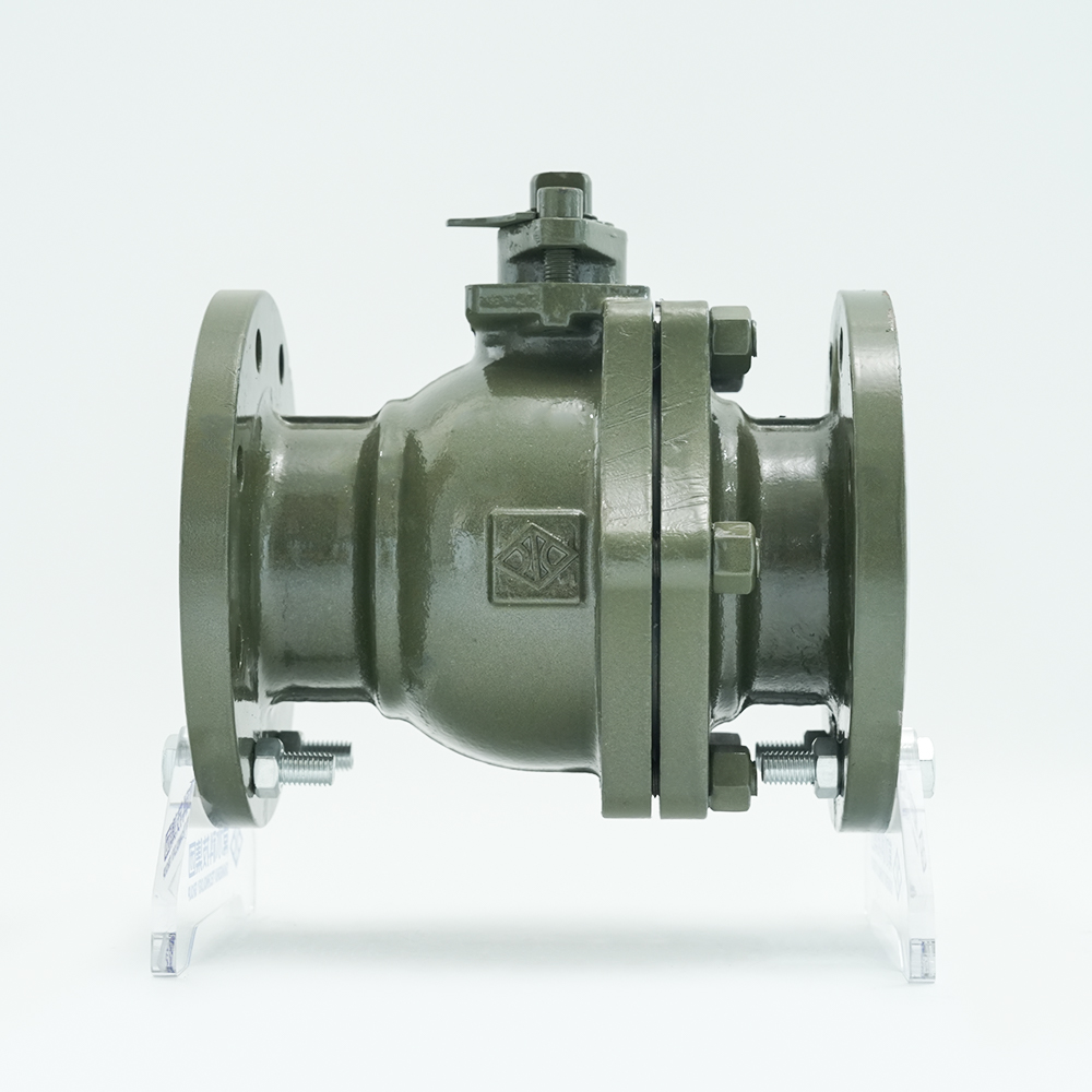 Changshui Teknoloji Grubu Co., Ltd.